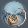 Catawba Valley Camera Club