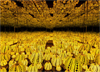 Infinitely Infinitely Kusama