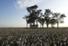 Southbound: Photographs of and about the New South