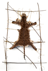 Ruth Marshall: Knitting the Endangered