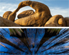 Huntsville Photographic Society: 2018 Members’ Showcase