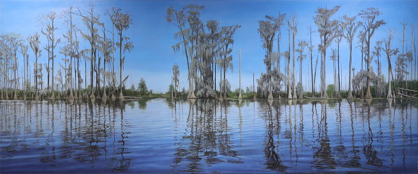 Thread of Light, Okenfenokee Swamp, GA, 2020