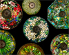 Louis Comfort Tiffany: Treasures from the Driehaus Collection