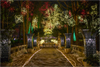 Winterlights