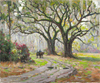 Scenic Impressions: Southern Interpretations from the Johnson Collection