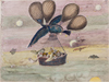 Titi, Nunu, and Klembolo: Helena Modjeska’s Fairy Tale Book