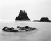 Our Ocean's Edge