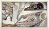 Curious & Wonderful: Selections from the Achenbach Vault