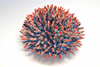 The Coral Reef Project