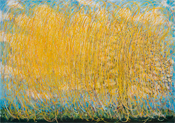 Virtual Opening Reception