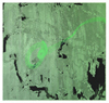 Benefit Art Auction 2019