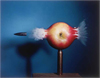Science in Motion: The Photographic Studies of Eadweard Muybridge, Berenice Abbott and Harold Edgerton