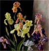 Magical & Real: Henriette Wyeth and Peter Hurd, A Retrospective