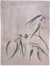 Byrdcliffe: Creativity and Creation
