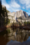 Yosemite Views: From Adams to Opie
