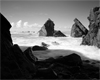 Our Ocean’s Edge