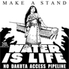 Beyond Standing Rock