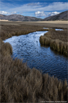 The Essence of Place: Celebrating the Photography of David Halpern