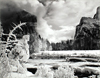 ANSEL ADAMS: The Photographs of Yosemite Suite