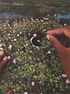New Photography: Create, Collect, Compile