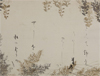 Inspired by Nature | Japanese Art from the Permanent Collection