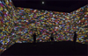 Christian Marclay: Surround Sounds