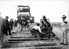 Setting the Standard: The Fred Harvey Company and Its Legacy