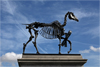 Hans Haacke: All Connected
