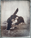 Matthew Brandt: Rocks and Eagles
