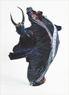Laura Anderson Barbata: Transcommunality