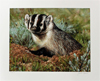 35 Years of Wyoming Conservation Stamps