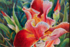 Karen Henneck: The Poetry of Color