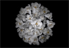 Courtney Egan Virtual Idylls