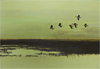 Newton Howard: Painter of the Sportsman’s Paradise