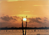 The Guardian of the Wetlands: Works by John Taylor