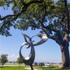 Visionary Bayou Technician: Steve Shepard