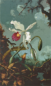 Cross Pollination: Heade, Cole, Church, and Our Contemporary Moment