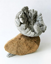 Lily Cox-Richard: Sculptures the Size of Hailstones