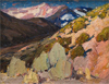 ALLIED: The Tia and OJAC Collections