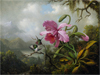 Nature’s Nation: American Art and Environment