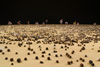 Kimsooja: Archive of Mind