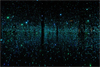 Yayoi Kusama: You Who Are Getting Obliterated in the Dancing Swarm of Fireflies