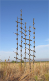 The 6th Annual Richard and Pam Salmon Sculpture Competition Exhibition