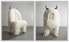 Creature Comfort: Animals in the House