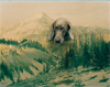 William Wegman: Outside In