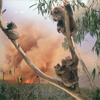 FROM ALL POINTS OF THE SOUTHERN SKY: PHOTOGRAPHY FROM AUSTRALIA AND OCEANIA