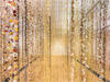 Rebecca Louise Law: Community