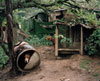 Robert C. May Photography Lecture Series: Mike Smith Exhibition