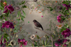 Jason DeMarte: Garden of Artificial Delights