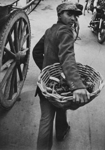 Exhibition: Responding to What is Alive Before You: The Photography of Levinstein and Fink